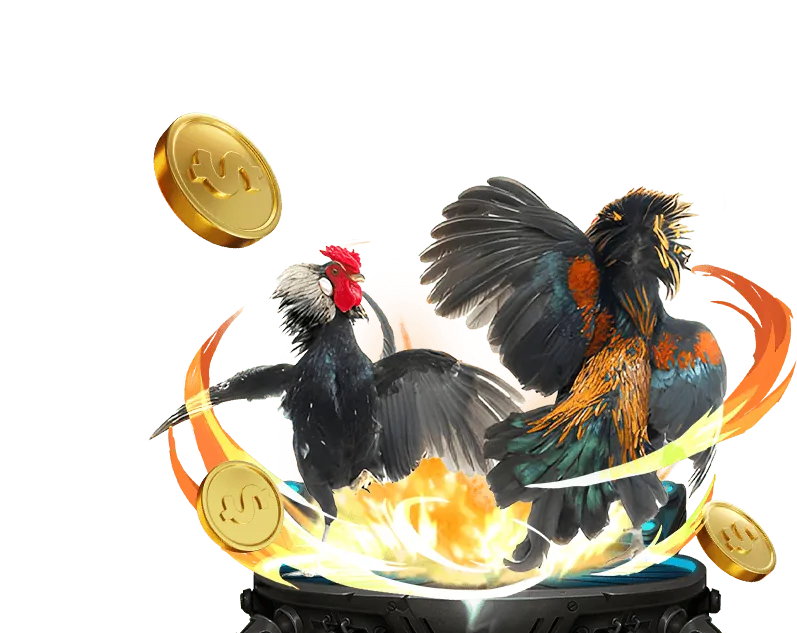 Hiểu rõ luật chơi và RTP tại lucky88 win